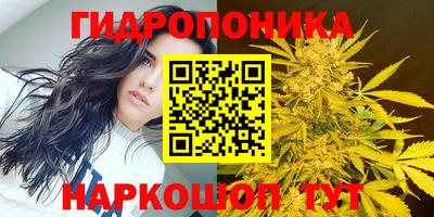 эйфоретик Тара