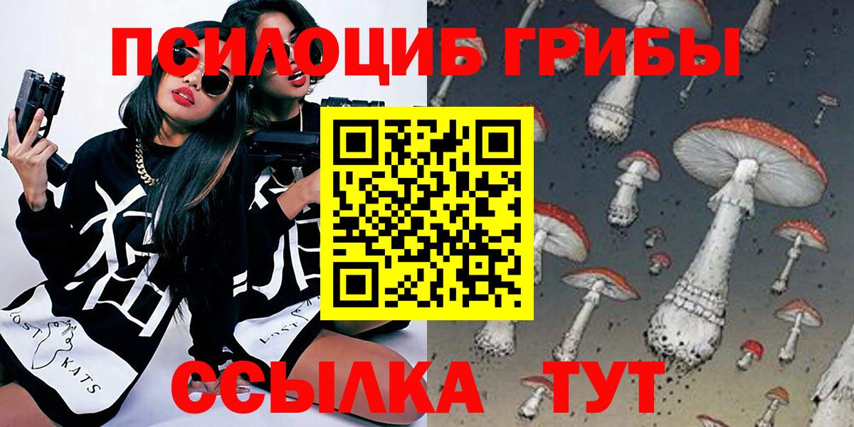 Псилоцибиновые грибы Cubensis Белогорск