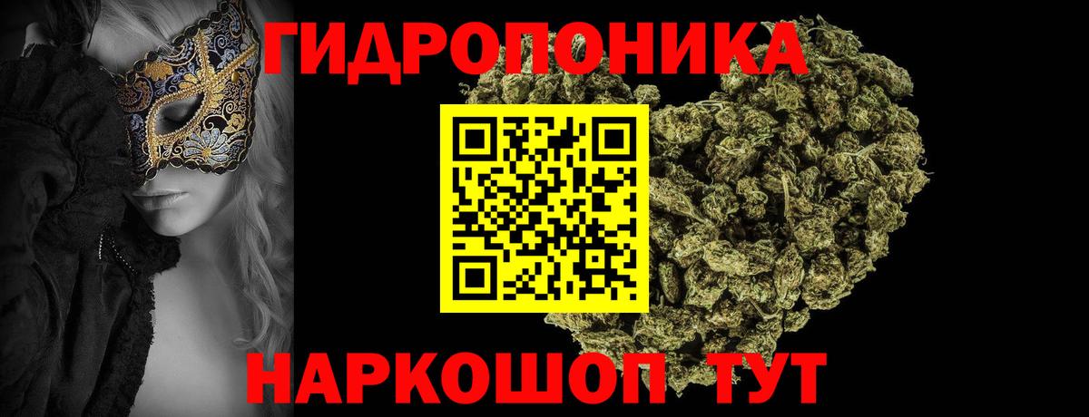 Бошки марихуана гибрид  Вход с VPN  Марихуана Bruce Banner  МАРИХУАНА план  Белогорск 